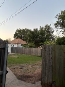 IMG-20250807-WA0003