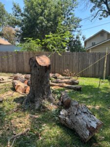 IMG-20250807-WA0014