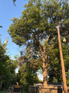 IMG-20250807-WA0017